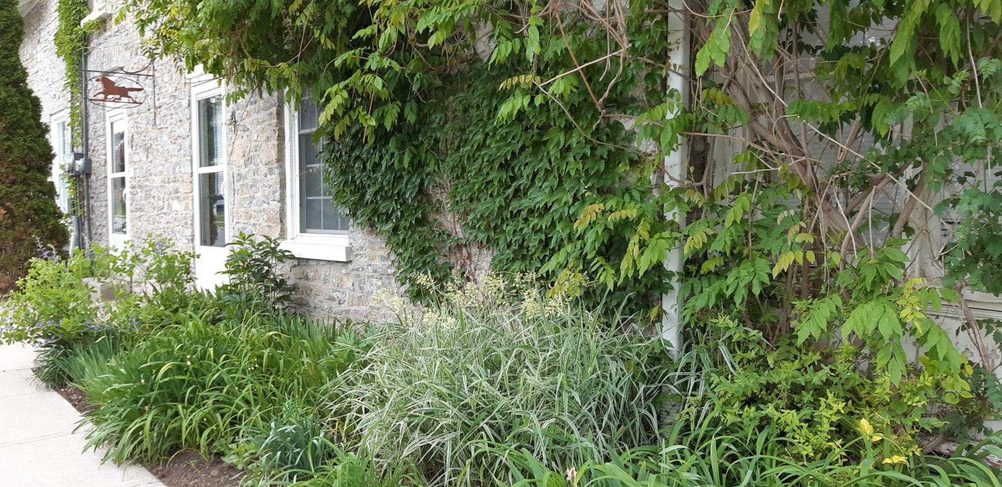 Stone Carriage House Villa Picton Ngoại thất bức ảnh