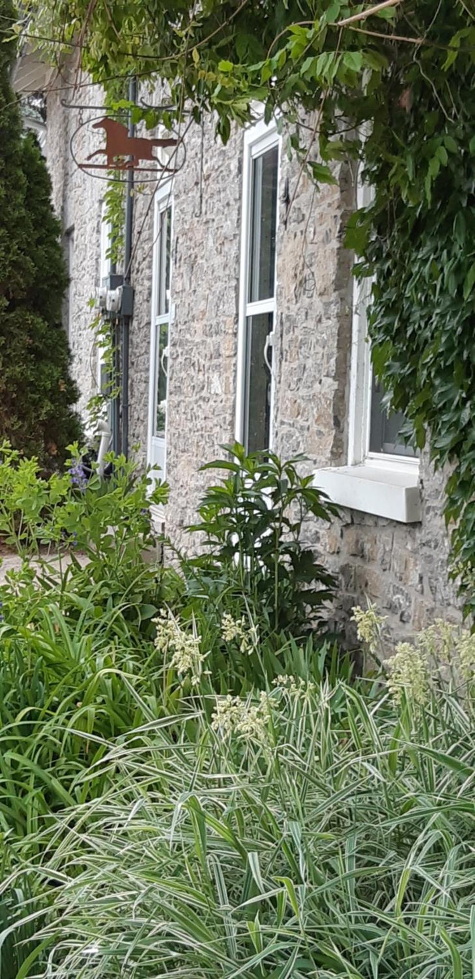 Stone Carriage House Villa Picton Ngoại thất bức ảnh